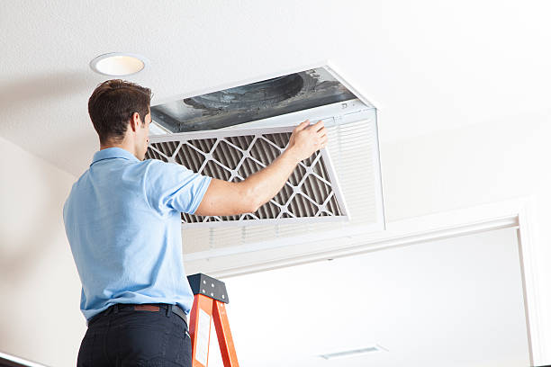 Best HVAC Tune-Up Services  in South Monroe, MI